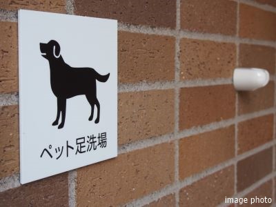 ペット足洗い場イメージ｜ザ・パークハウス月島ディアスタ